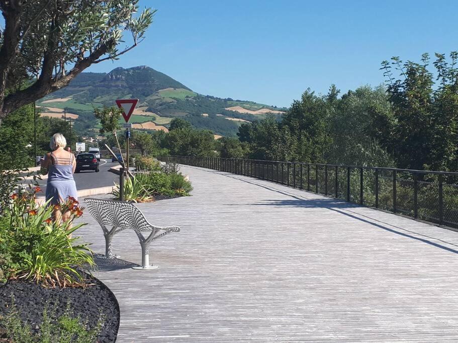 Les Bambous - Rez De Jardin Millau Centre - Parking Privatif, Wifi Exterior foto